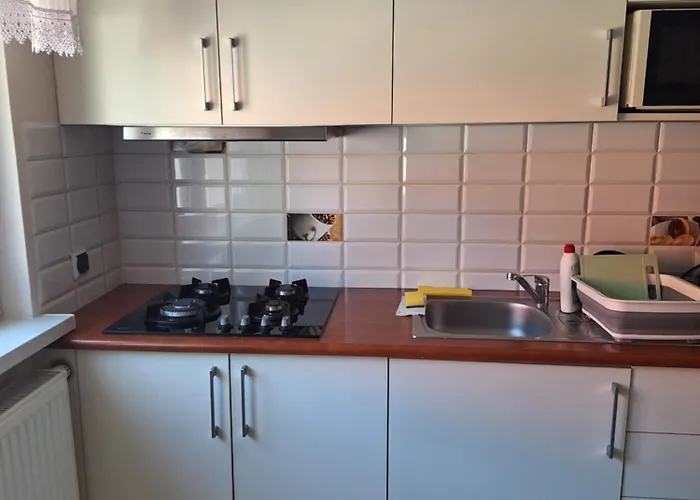 Mieszkanie Dalia Апартаменты Карвиа